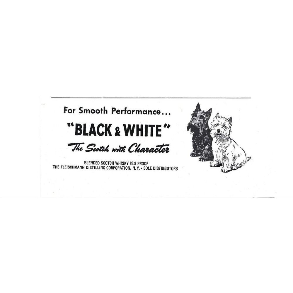 Black & White Scotch Whisky ADVERT Scottish Terrier Dog 1950s Vintage Print Ad